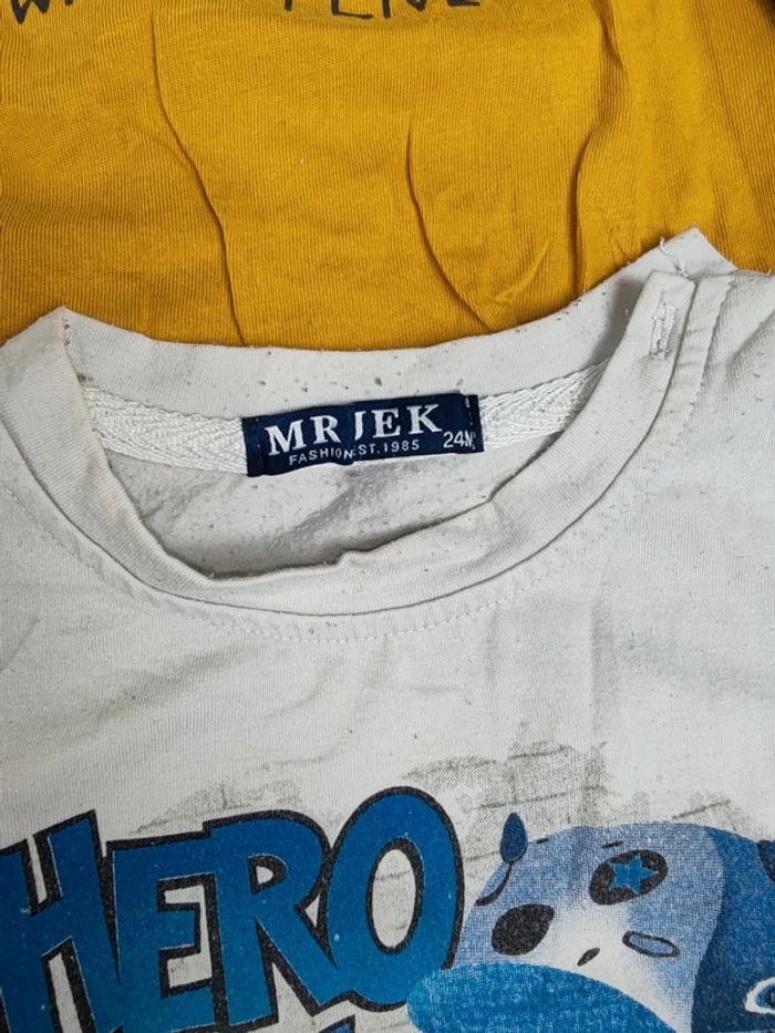 Lot t shirts manches longue 23/24 mois - photo numéro 6