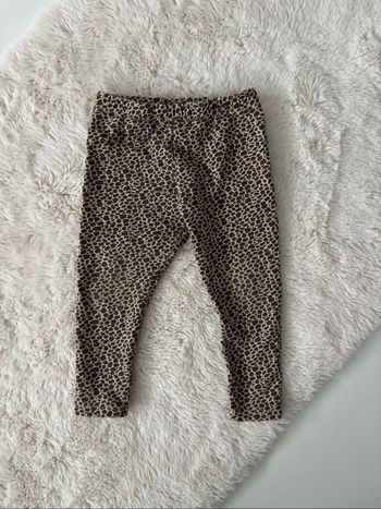 Legging