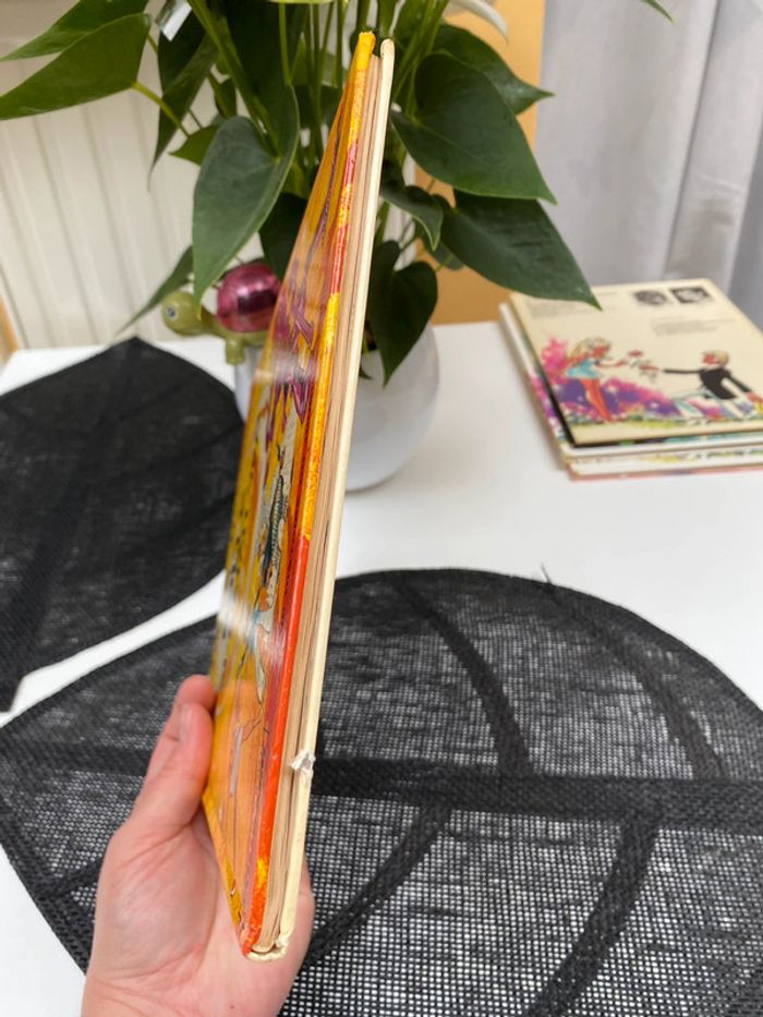 La bulle de si c’était vrai 🌸 - photo numéro 13