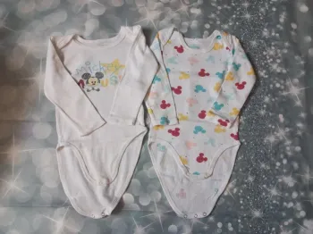 Lot 2 bodies