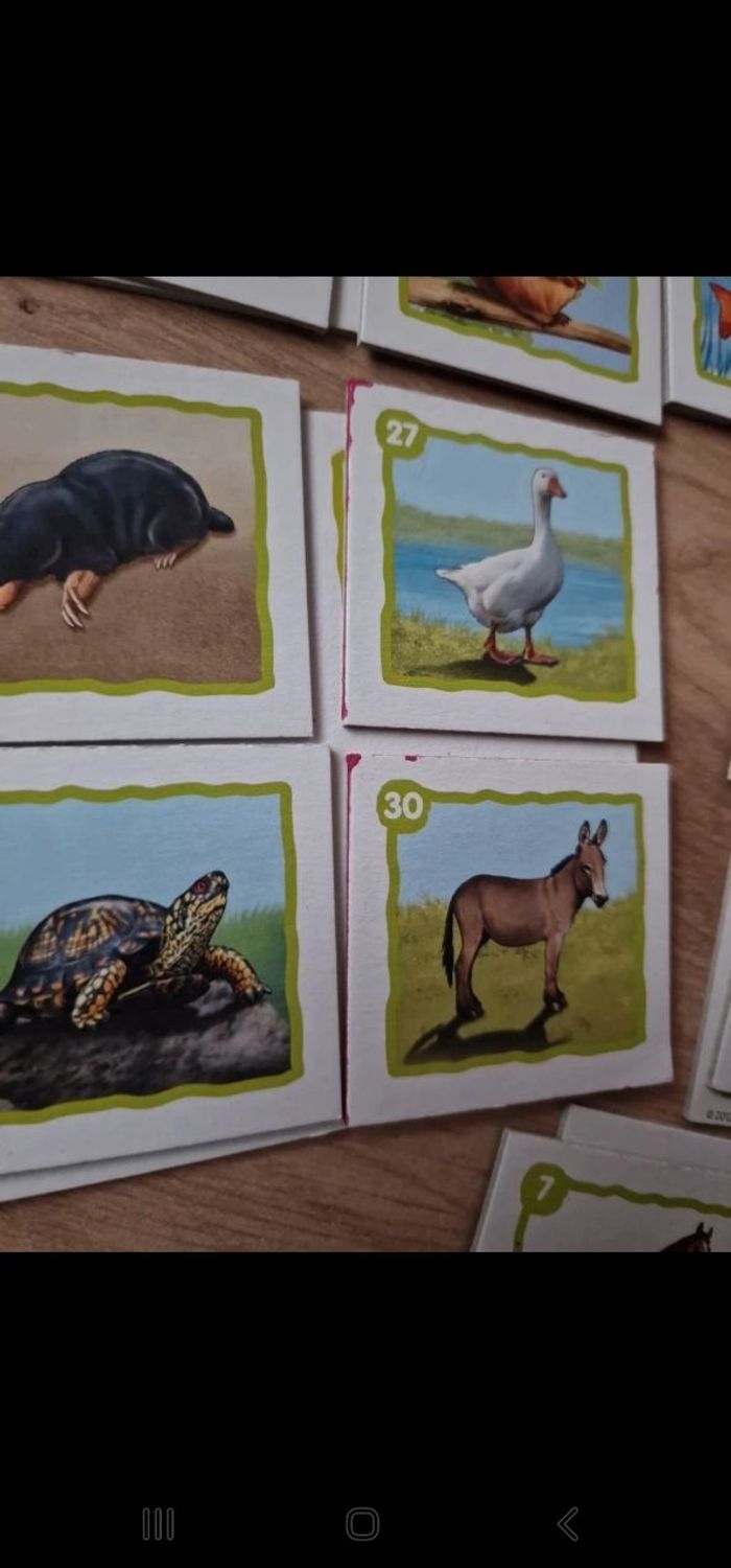 Loto les animaux familiers - photo numéro 5