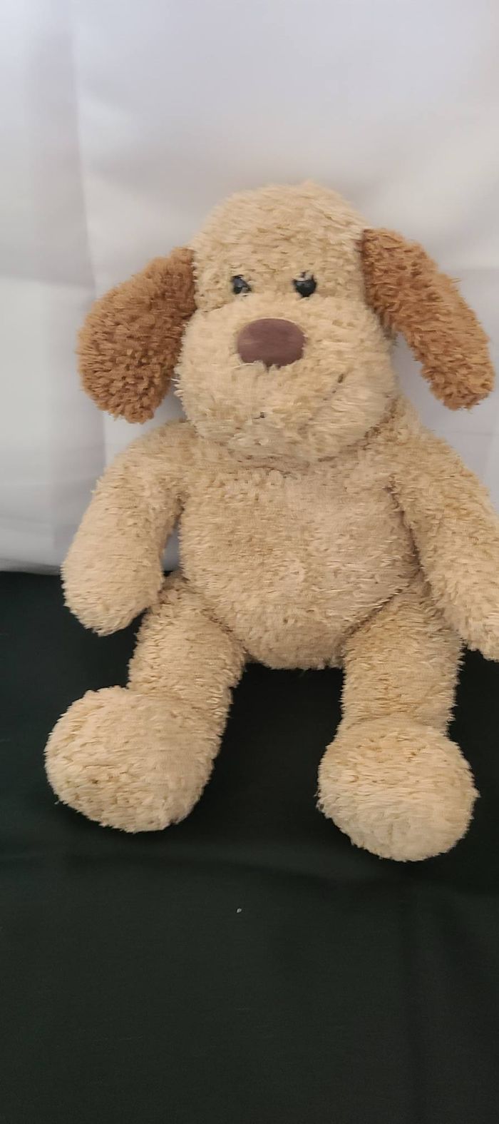 Chien HISTOIRE D'OURS doudou beige et marron - photo numéro 3