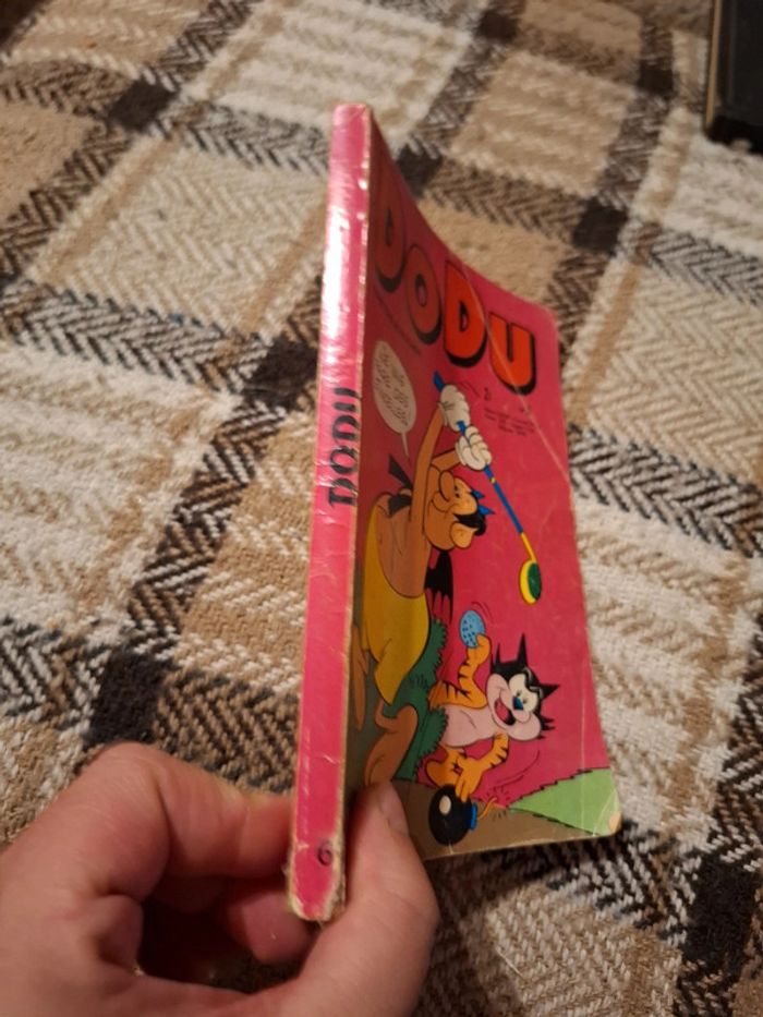 Dodu n°5 - photo numéro 2