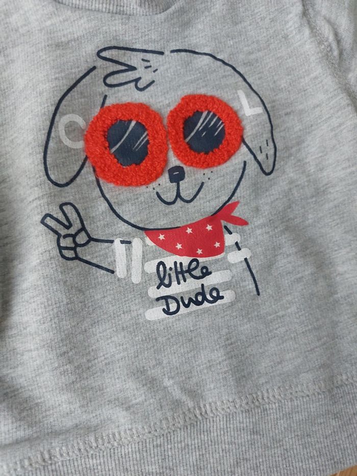 Pull Influx - photo numéro 3