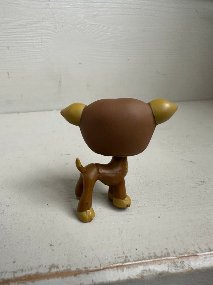 Petshop lévrier chien - photo numéro 2