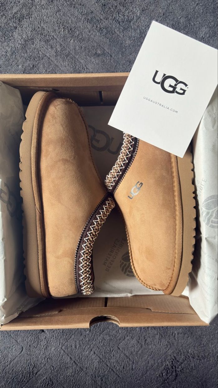 UGG Tasman