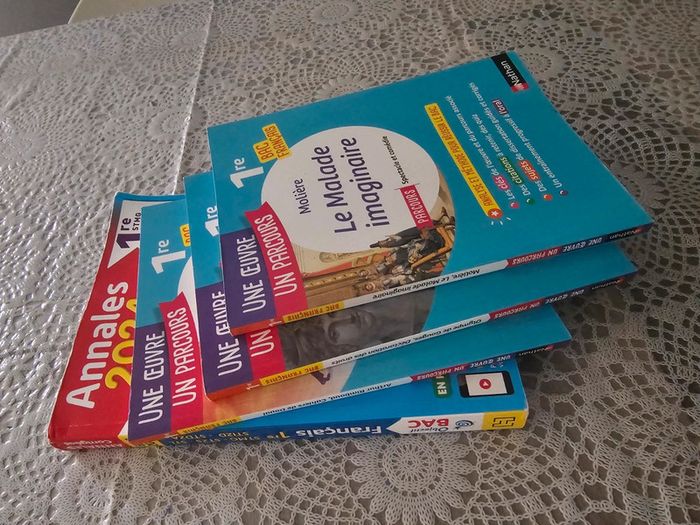 Annales français 2024 + 3 œuvres un parcours - photo numéro 7