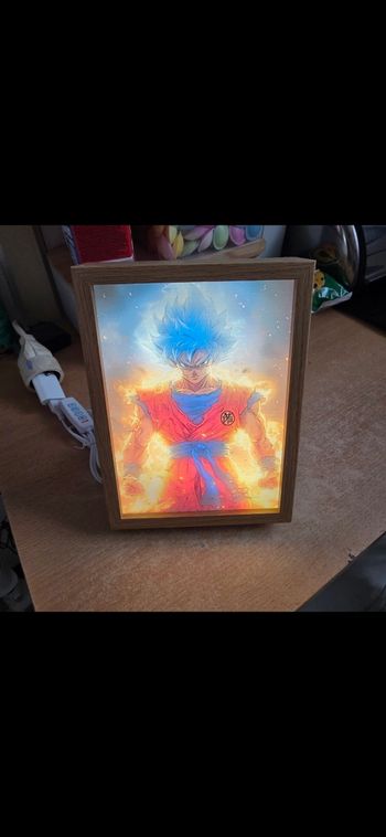 Cadre lumineux Dragon ball z