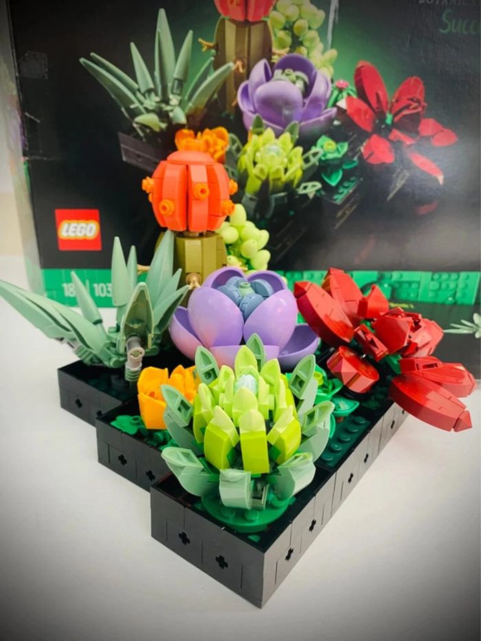 LEGO Icons 10309 - Les Succulents - Complet avec Boîte - photo numéro 4