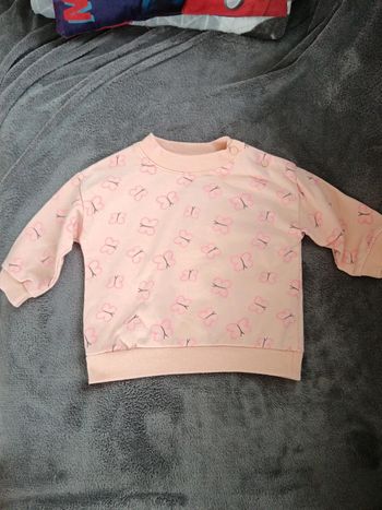 Pulls zeeman papillon
