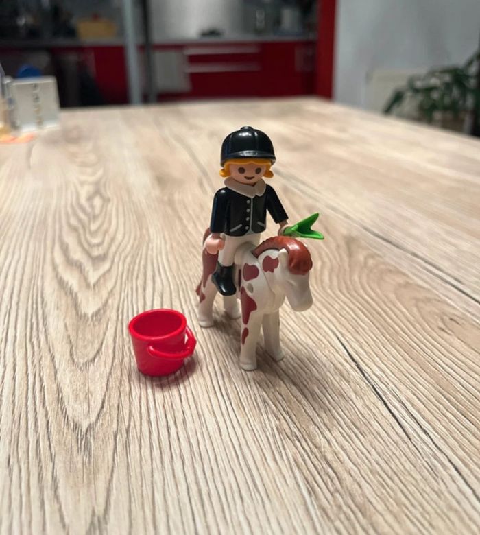 Lot - prix sur tous les éléments équitation - photo numéro 18