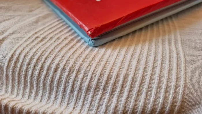 15 histoires de chevaux d evelyne duverne - photo numéro 6