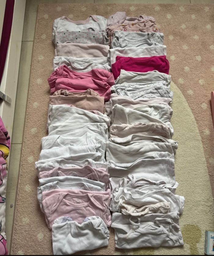 Lot 50 bodies environ