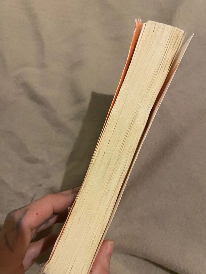 Livre kiss - photo numéro 9