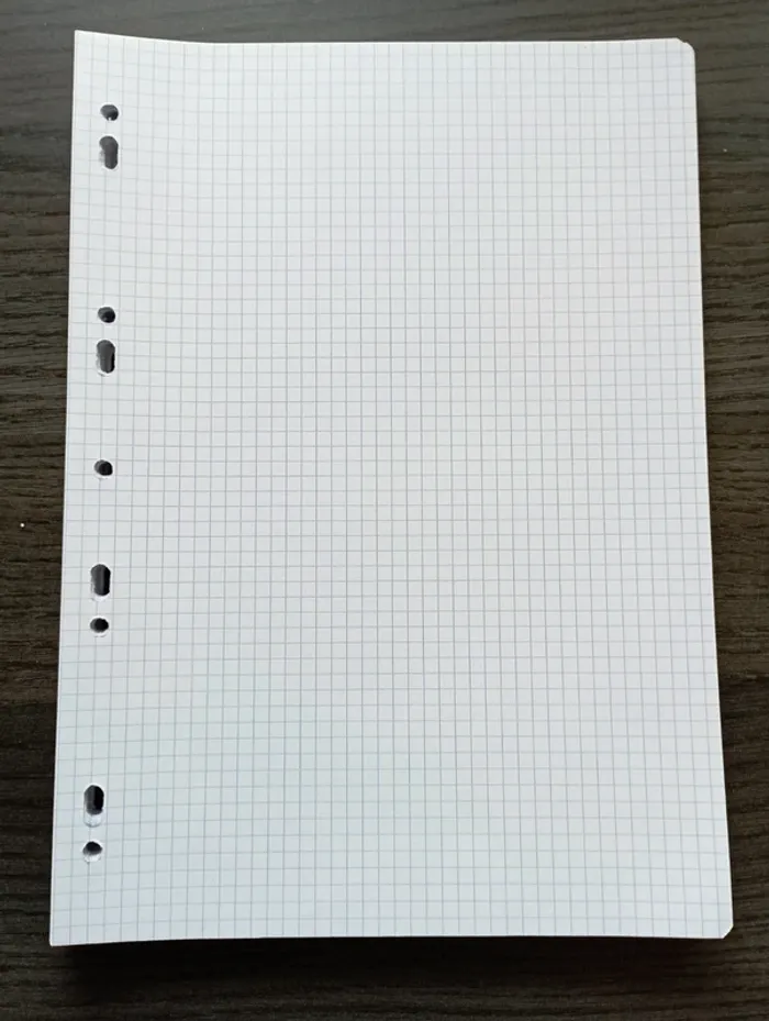 Lot feuilles simples A4 perforées petits carreaux