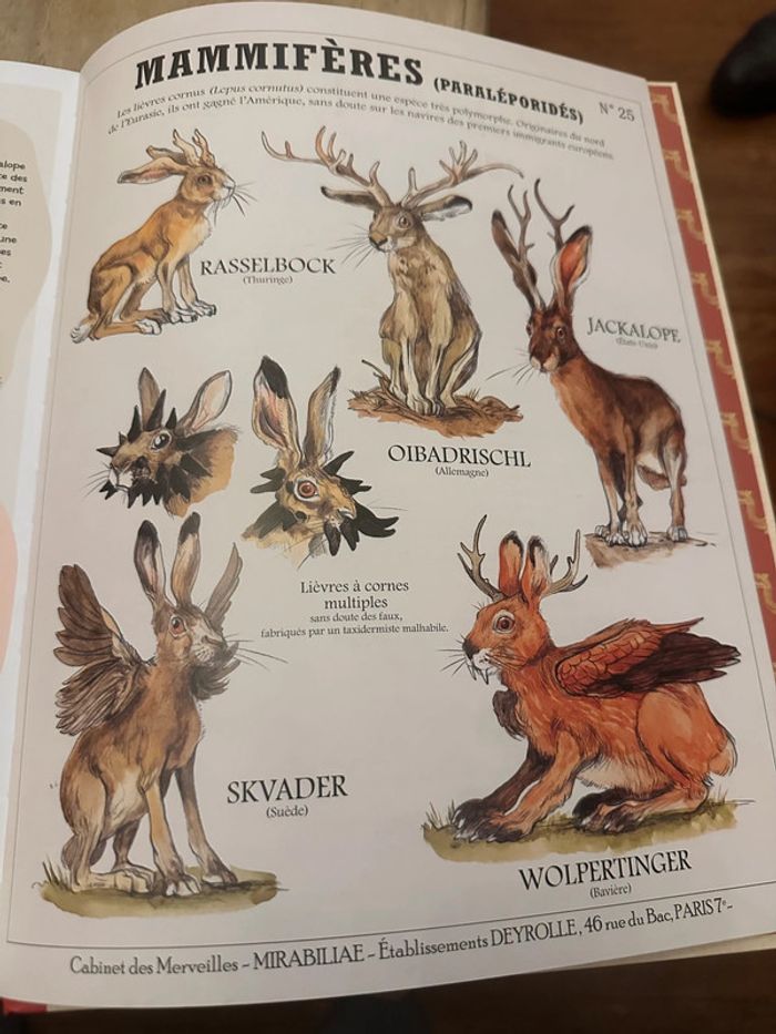 Deyrolle Les Histoires vraies des Créatures Fantastiques Plume de Carotte - photo numéro 11