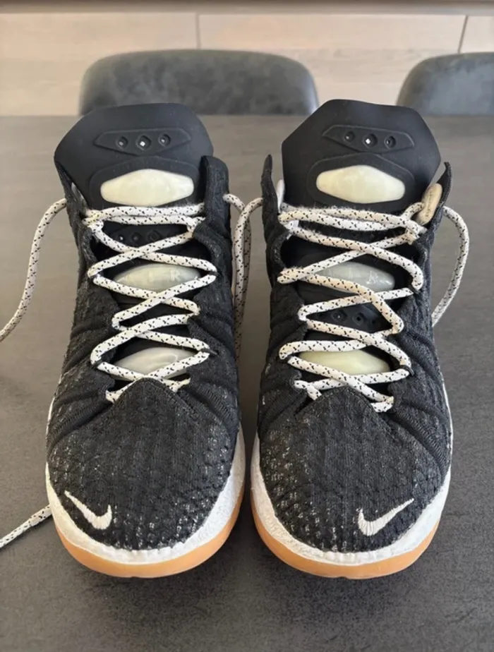 Nike Lebron