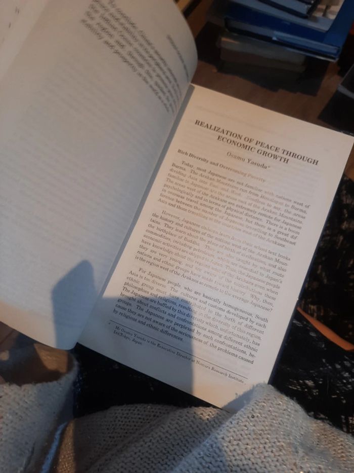 Indian ocean security and stabilité in the post cold war era p j - photo numéro 15