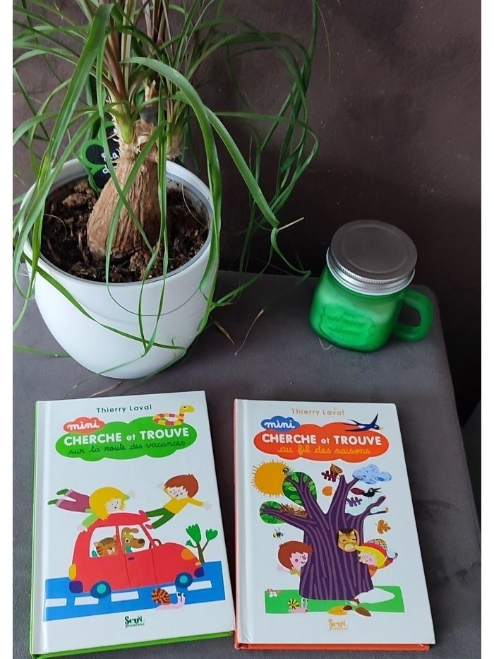 Lot 2 livres cherche et trouve