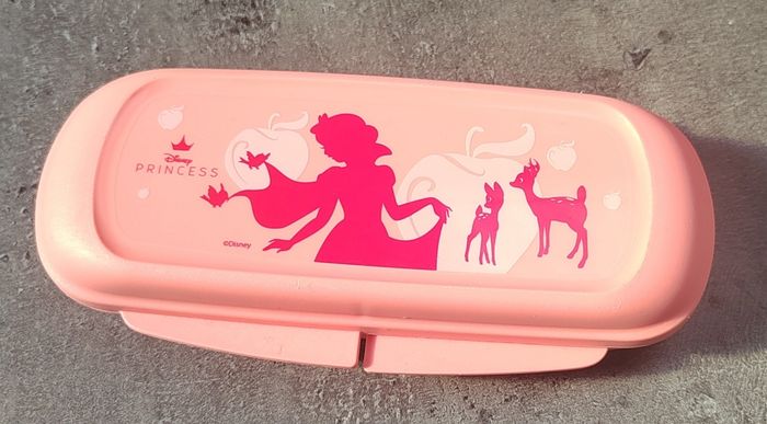 Étui à lunettes princesse