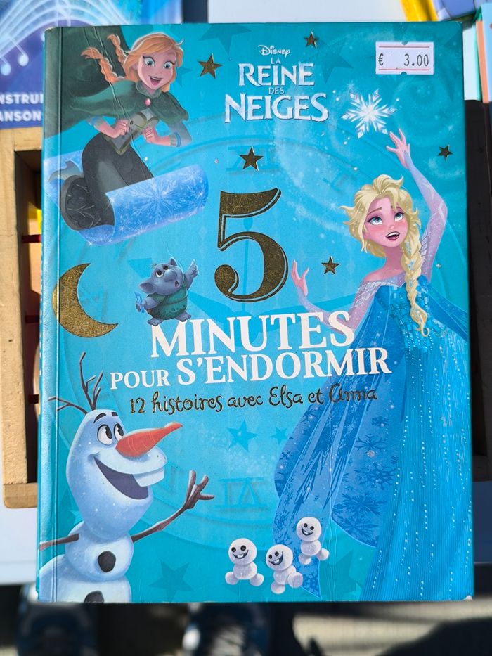 Livre la reine des neiges
