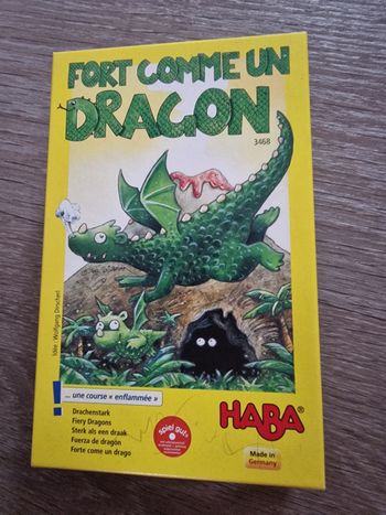 Jeu fort  comme un dragon