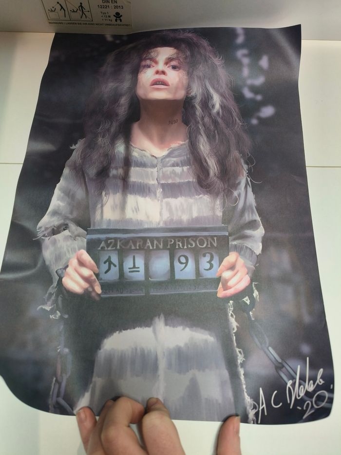 Affiche Bellatrix Lestrange Harry Potter - photo numéro 3