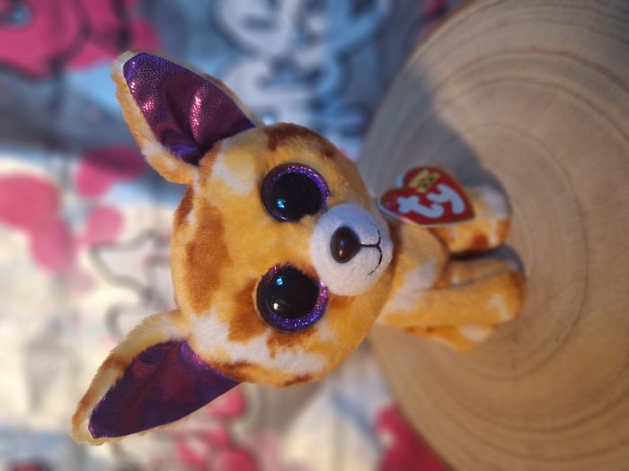 Peluche de collection Ty Beanie Boos PABLO Chihuahua 2015