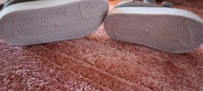 Basket chat - photo numéro 4