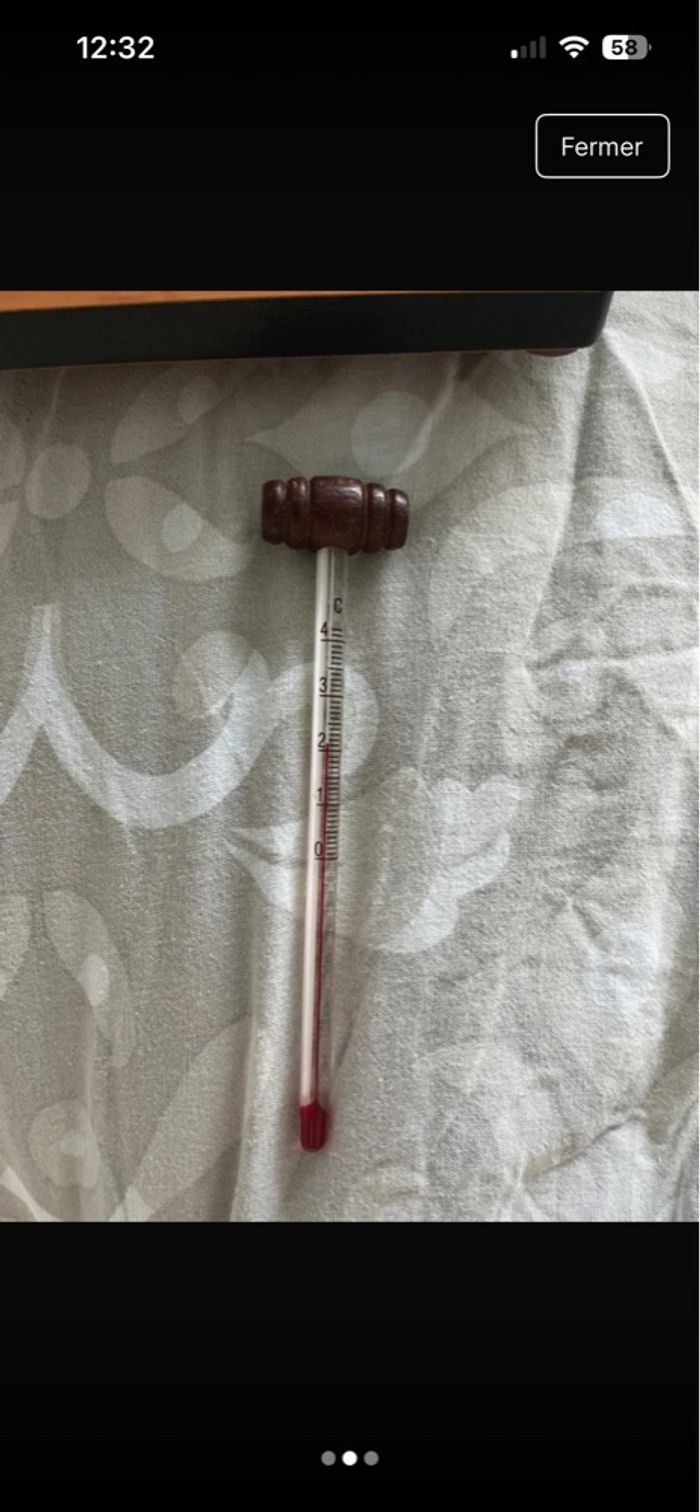 Thermomètre à vins - photo numéro 2