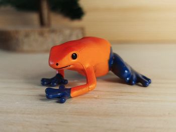 Safari Grenouille venimeuse Figurine Animal équatoriale