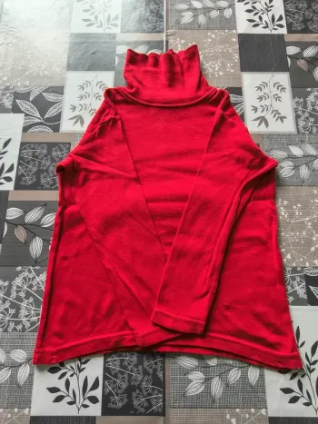 Tee shirt col roulé
