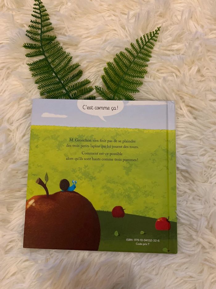 Livre mc do Haut comme trois pommes - photo numéro 2