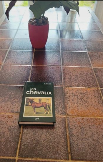 Les chevaux guide Vert