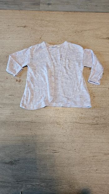 Gilet parme brillant à manches longues, H&M, 18/24 mois, nickel