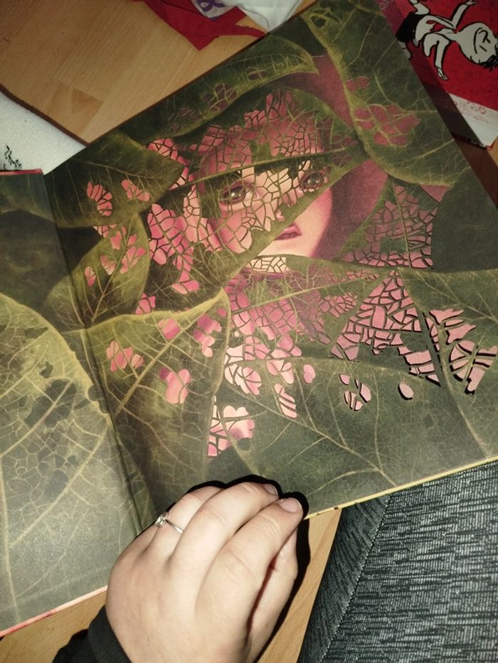 Très beau livre sur les fee - photo numéro 5