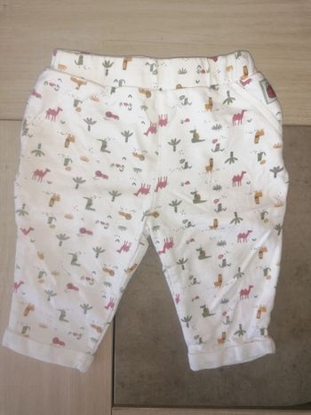 Pantalon dinosaures / 6 mois