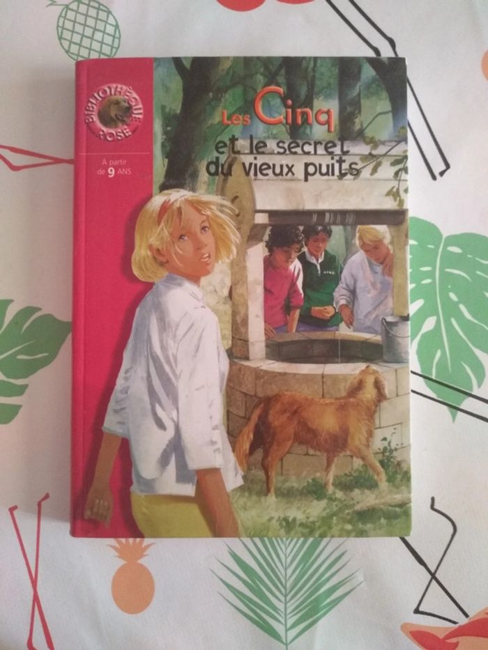 Livre Le Club des Cinq