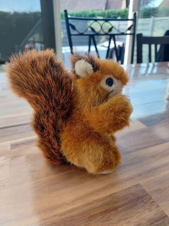 Peluche écureuil