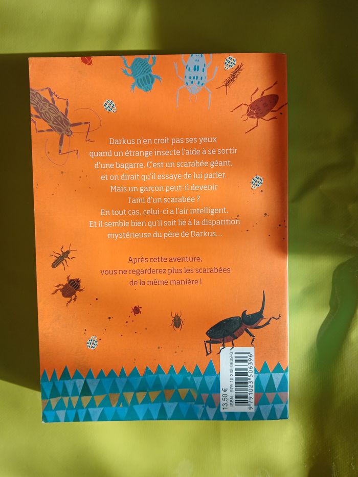 livre scara boy - photo numéro 5