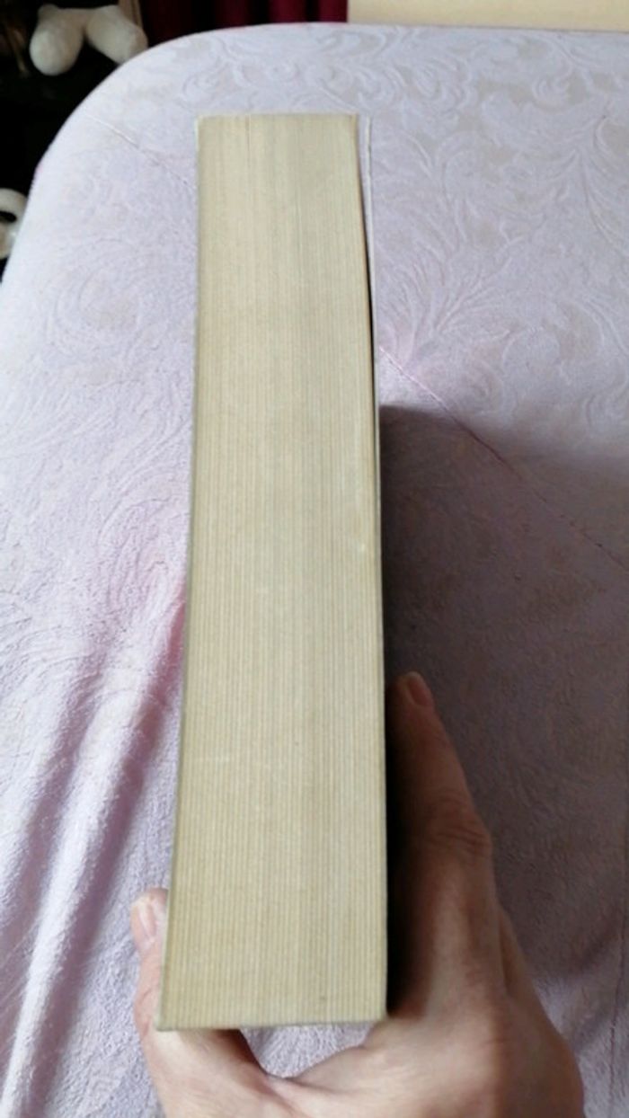 Vol avec effraction douce - photo numéro 4