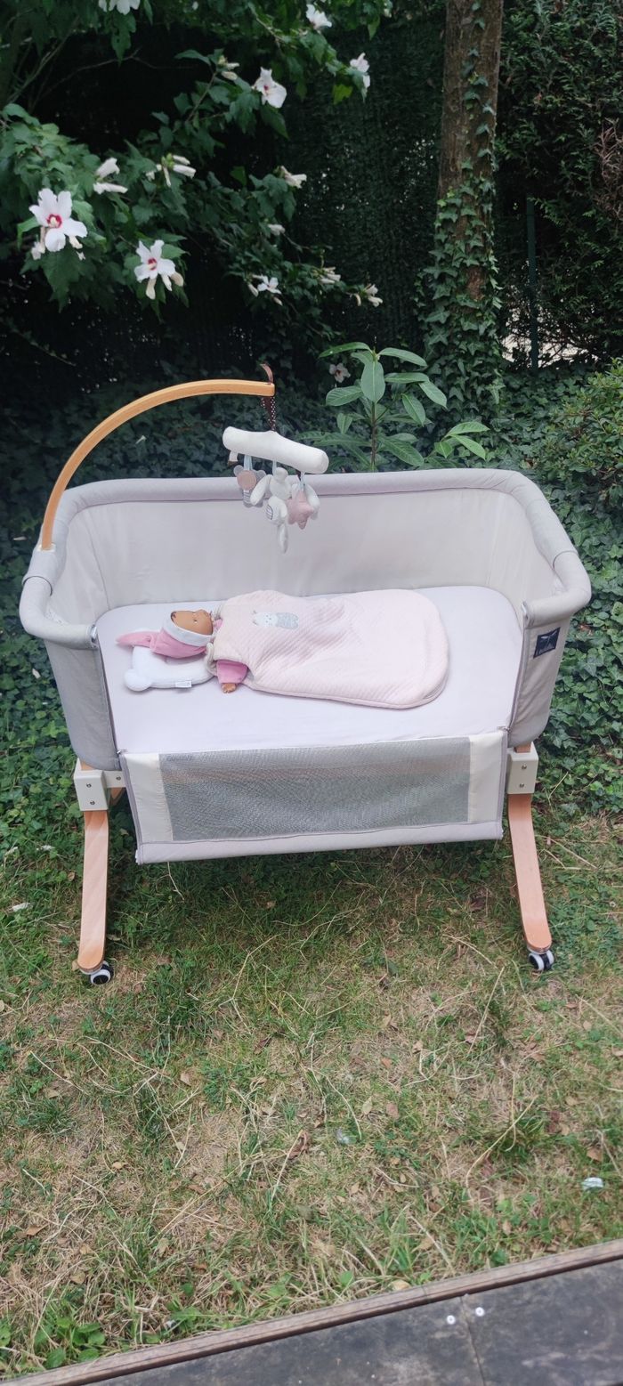 Lit cododo mondodo libellule