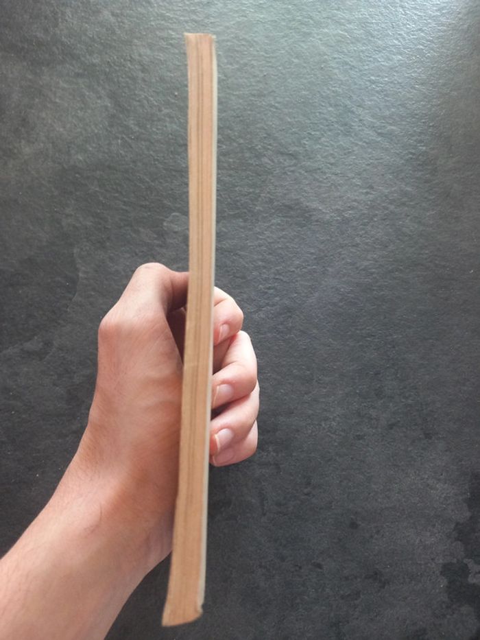 Molière le médecin malgré lui le médecin volant - photo numéro 4