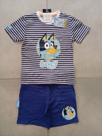 Ensemble bluey 5 ans 
