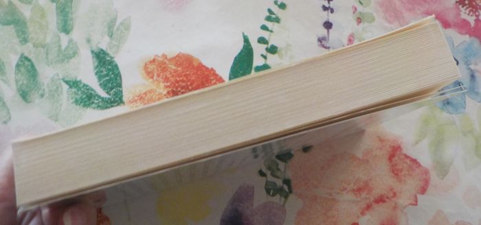 JAMAIS SANS MA FILLE par Betty MAHMOODY Ed. Fixot - photo numéro 5