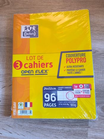 Lot neuf 3 cahiers Oxford