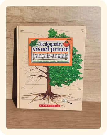 Dictionnaire visuel junior français anglais
