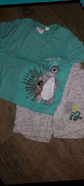 Ensemble  livre de la  jungle