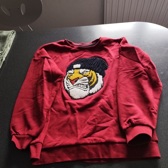 Sweat garçon - photo numéro 2