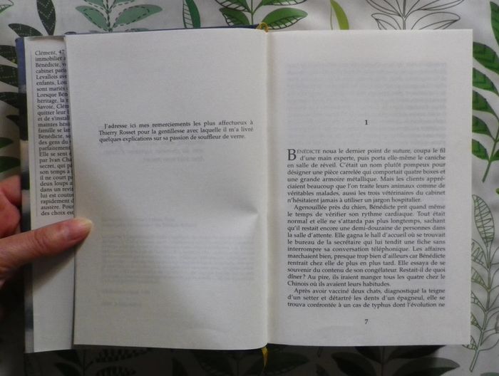 La maison des Aravis de Françoise Bourdin Ed. France Loisirs - photo numéro 5